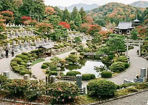 墓じまいの進め方3 遺骨の移動先の選定