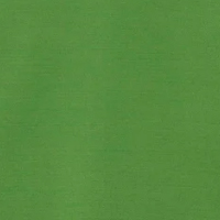 フォクシーカラーグラスグリーン464