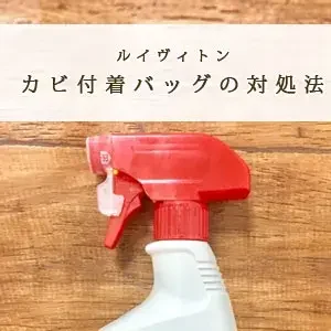 ルイヴィトンバッグのカビ対策ケア