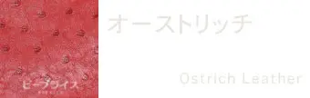 オーストリッチ
