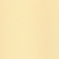 フォクシーカラーイエロー35