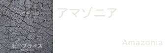 エルメス素材アマゾニア