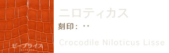 エルメス素材ニロティカス