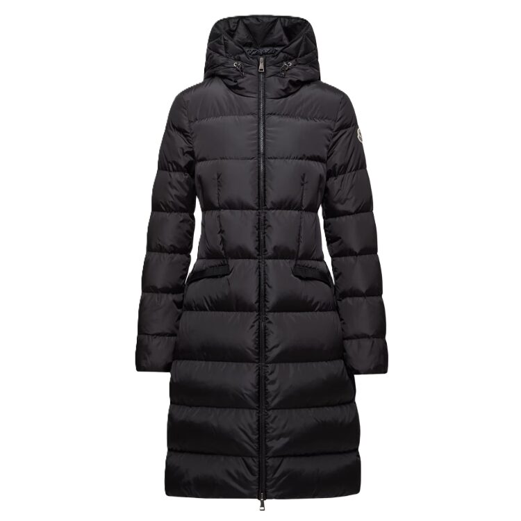  Avocette アヴォチェット