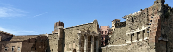 フォックスファーの歴史