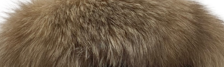 レッドフォックス毛皮