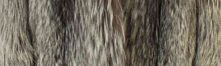 シルバーフォックス毛皮
