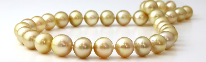 ゴールデンパール