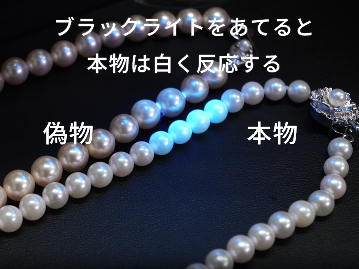 真珠の見分け方はブラックライトにあてる