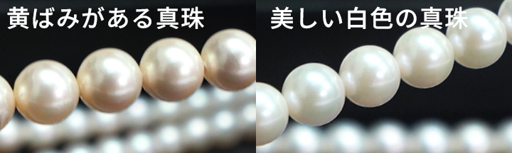 真珠の色の違い
