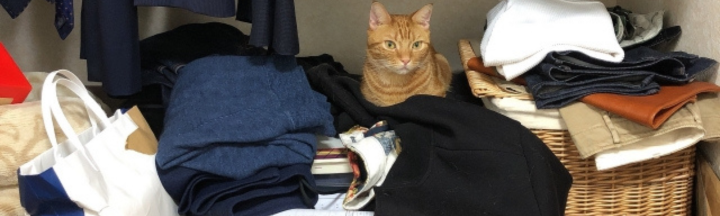 物が多く溢れている場合は不用品回収業者