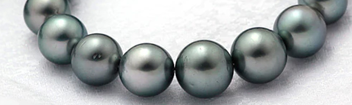 黒蝶真珠（タヒチ黒蝶真珠）