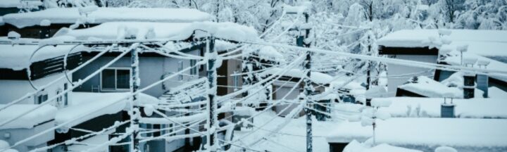 札幌の気候を考慮したタイミング