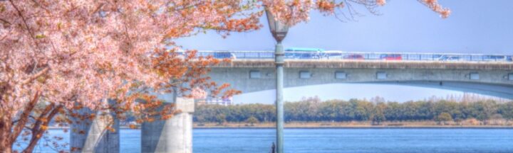 琵琶湖のほとりの街｜草津市の買取事情