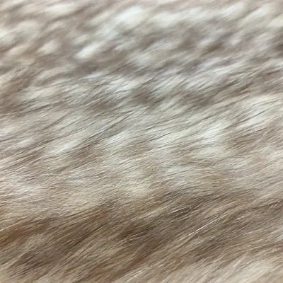 ラビット