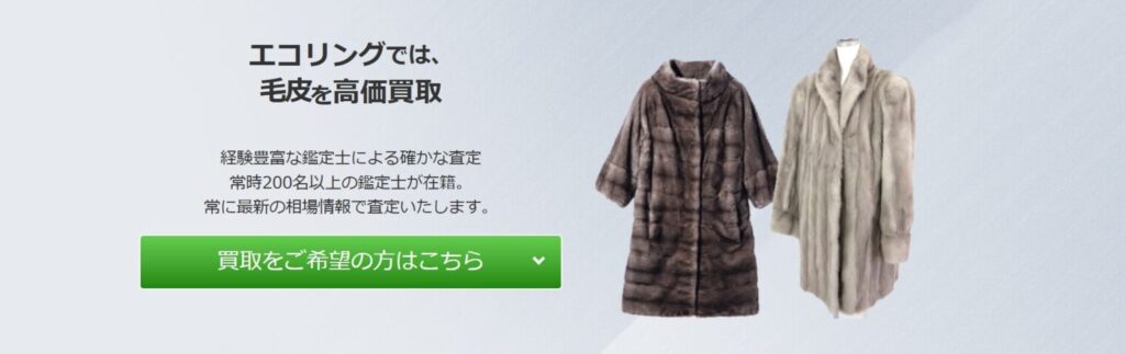 エコリング