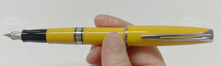 ウォーターマン万年筆とは？チャールストン実機レビューで初心者ガイド