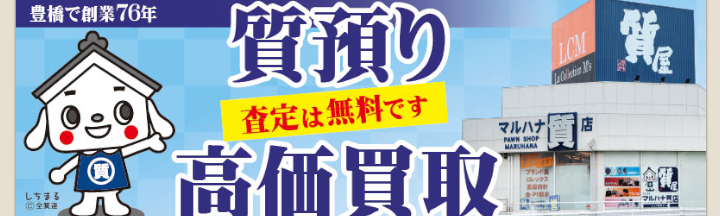 マルハナ質店