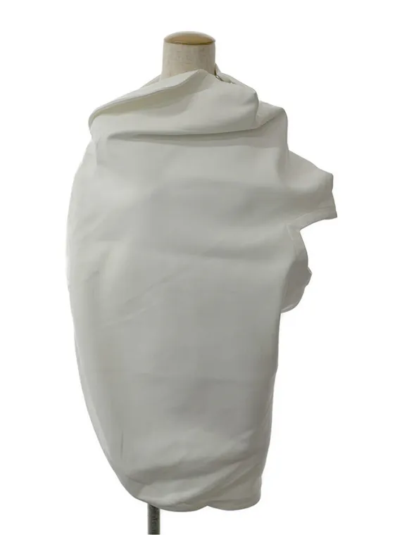 イッセイミヤケ Tシャツ カットソー TORSO IM31FJ544 2023年 ホワイト買取参考価格 | 東京都千代田区