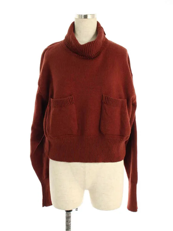 デイジーリンforフォクシー ニット セーター 37523 Sweater Boy’s ハイネック 2017年 ブラウン買取参考価格 | 宮崎県宮崎市