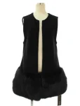 フォクシーブティックベスト 36299 Gilet Snow Mist フォックスファー 2016年 ブラックの参考買取価格