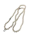 デイジーリンforフォクシーDAISY Perfect Shell Pearl Necklaceの参考買取価格
