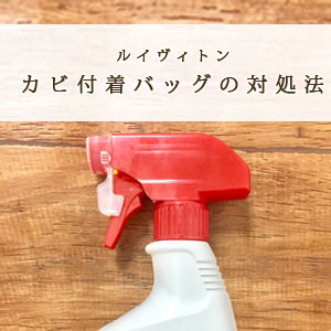 ルイヴィトンのバッグなどに発生するカビの原因と取り方や予防対策