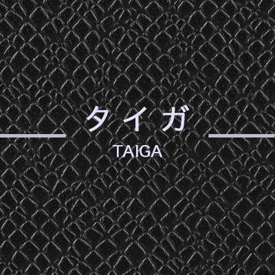 ルイヴィトン｜タイガラインのカラーバリエーションと種類